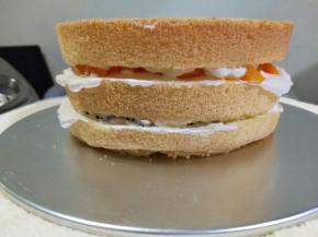 底托上先摸少量奶油，放一片蛋糕胚，摸少量奶油，放火龙果，再摸少量奶油；第二层同上做法