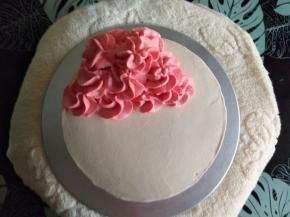 取100克淡奶油加10克细砂糖进行打发，裱花奶油打8-9分发（出现纹路的时候把奶油分成2份，一份80克加红色色素，一份20克加绿色色素，打到裱花状态），花朵用2D裱花嘴挤