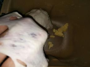 启动一个揉面程序，厚膜加入软化的黄油