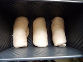 放学厨黑金刚模具里