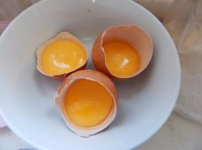 蛋黄准备好