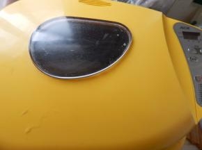 柔成面团发酵母