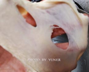 除黄油所有材料倒入厨师机，面团揉至光滑，能抻出半透明的薄膜，抻开的洞口呈锯齿状，此时为面团的扩展阶段。