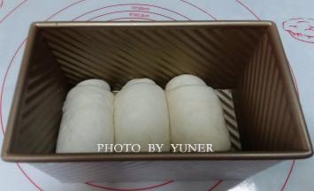 放入吐司模中，盖保鲜膜进行二次发酵。