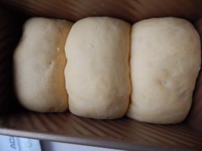 然后放模具里发至两部大