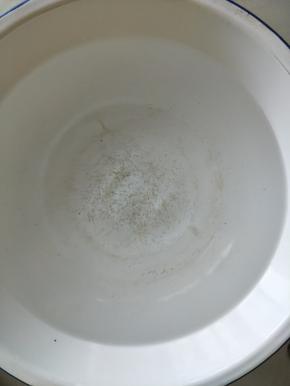 准备一盆凉水，放到冰箱中放凉备用