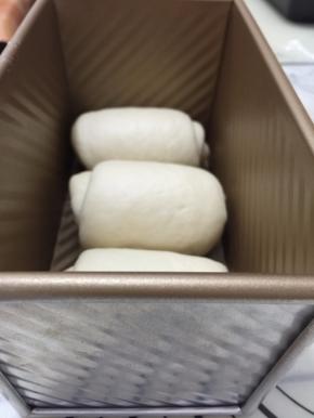 16. 卷好的面团码在吐司模具内