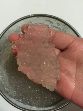 煮好的西米晶莹透亮！好有弹性哦！
