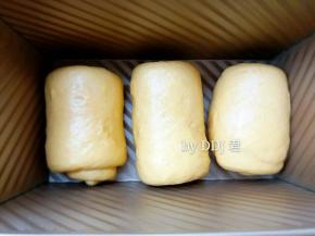 放入土司盒，然后放入烤箱，烤箱内放一烤盘热水，因为我的烤箱是不带发酵功能的。有发酵功能的烤箱，旁边放一碗热水就好