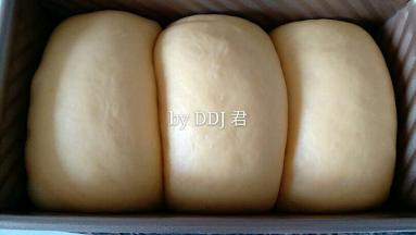 发至九分满时取出，擦干烤箱内的水汽，开始160度预热