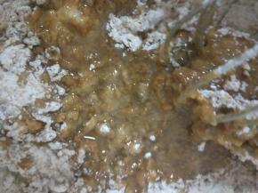 加入玉米油搅拌均匀