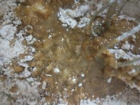 加入玉米油搅拌均匀