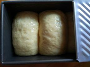 把醒发好的面团平均分成三等份，分别用擀面杖擀成长条形，从上到下卷起，排入土司模具，三个面团都排好。发酵1小时左右，如果你的土司是带盖的，发酵到9分满，如果你的土司盒不带盖，那就发酵到8分满。发酵好后刷上鸡蛋液，利于土司表面上色。烤箱170℃预热5分钟。然后放进烤箱170℃上下火35分钟。