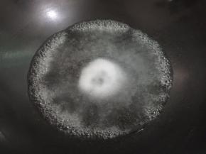 3. 炒锅加水烧开