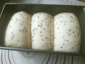 放到38度左右的温暖湿润处进行二次发酵至土司盒八九分满，手指按压面团缓慢回弹，发酵完成