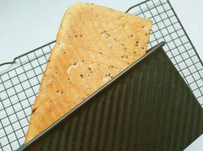 黑金刚上色好发酵快！