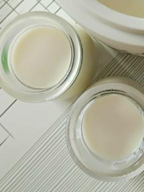 先把装酸奶的容器洗好，擦干，放入烤箱烤5分钟，起到消毒杀菌的作用，然后拿出来纳凉至40℃左右，倒入奶水，放烤箱可以开始发酵了。建议晚上9点左右开始发酵，到第二天早上6点左右，这样就是发酵9小时左右，拿出来，放进冰箱，别忘记一定不能发酵过头，酸奶的发酵时间是8-10小时，发酵过头就酸了，不好吃了。