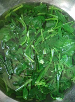 菠菜用开水炤一下备用