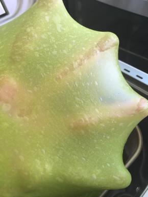 再次揉至能拉出手套膜，在揉面的过程中，要随时观察面团的状态