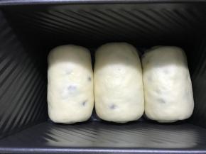 10、放入450克黑金刚吐司盒中。在温暖处进行二次发酵。