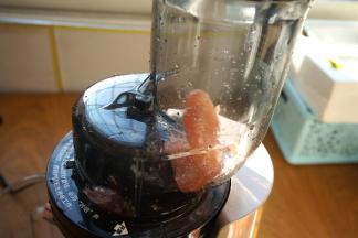 柚子欢快地跳着舞