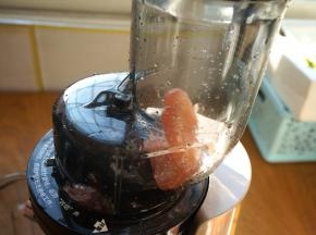 柚子欢快地跳着舞