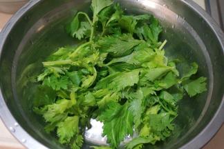 鲜嫩芹菜叶清洗干净