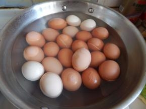 鸡蛋 煮熟