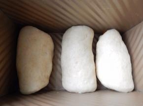 然后卷好的放模具里