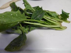 菠菜清洗干净