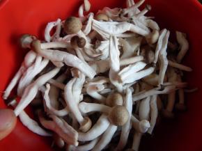 蟹味菇清洗干净