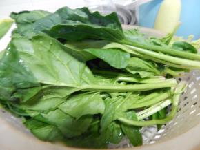 菠菜