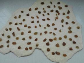 发酵好的面团排气擀开，均匀放入葡萄干（葡萄干，没有朗姆酒，我提前用水浸泡了一下，然后用厨房纸吸干水份）然后用擀面杖擀一下，将葡萄干压实一下