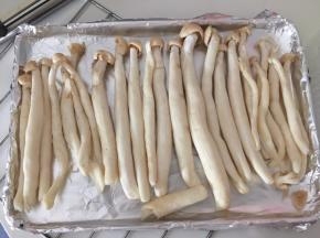 烤盘上铺上锡纸，将鲜茶树菇平铺在烤盘上