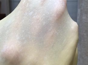 揉到轻轻拉开面团能有薄膜即可