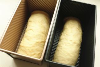 面包卷此时已经发酵完成。