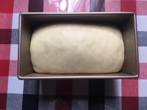 大约50分钟后，面团发酵至8分满