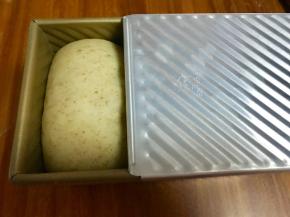 发酵至9分满，盖好盖子，预热烤箱