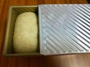 发酵至9分满，盖好盖子，预热烤箱