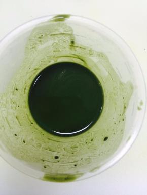 抹茶粉用沸水泡开，水不宜过多，一点点就可以，搅拌均匀，放冰箱冷藏