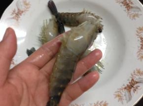 1、把买回来的虾先剪去虾枪和虾脚。