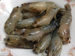 3、然后全部清洗干净。