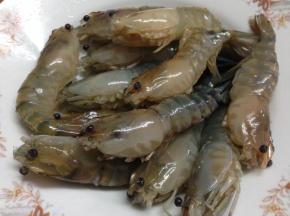 3、然后全部清洗干净。