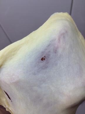 加黄油和盐揉至扩展状态即可