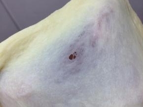 加黄油和盐揉至扩展状态即可