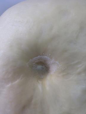 面团发至2--2.5倍大，用手指戳面团检查发酵状态，戳个小洞，不塌陷，不回弹即可