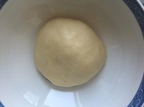 面团滚圆后放入容器，盖上湿毛巾，烤箱最下层烤盘内放温水，发酵档1个小时
