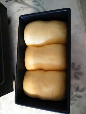 土司盒放入烤箱发酵40分钟。到8分满就可以取出。