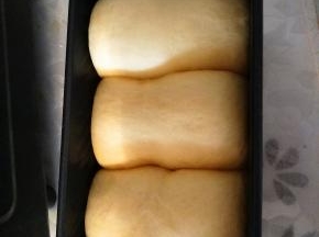 土司盒放入烤箱发酵40分钟。到8分满就可以取出。