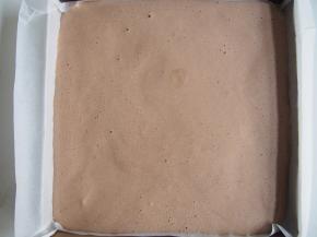 将可可面糊倒入烤盘中，震几下磕出气泡，烤箱160度中层上下火，18分钟左右熟透即可。